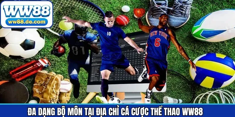 Những bộ môn thể thao thú vị được nhiều người lựa chọn